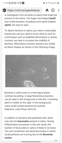 Screenshot_20211118-114410