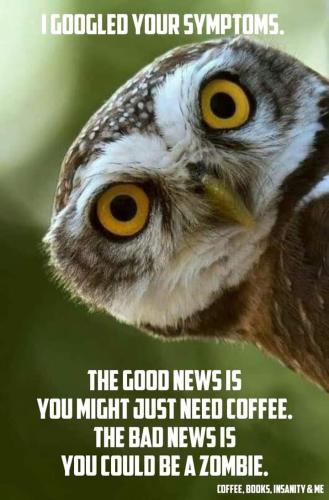 258853746_444457790377669_5039394886290604046_n