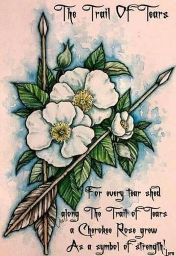 253310326_5085490568132345_3338319089123330456_n