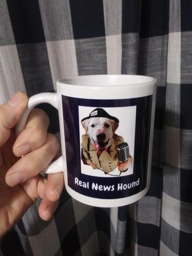 king news hound