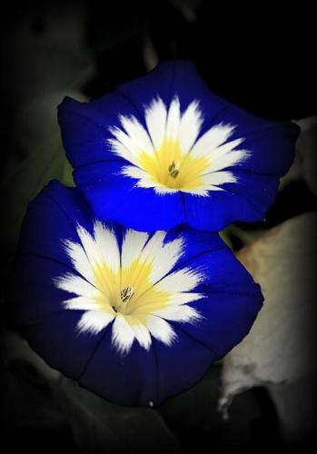 07:34:18 GMT-0600 (CST)