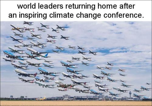 g20c