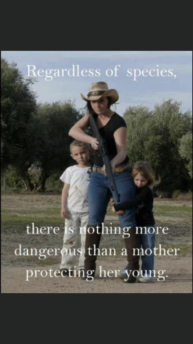 11:52:39 GMT-0500 (EST).image