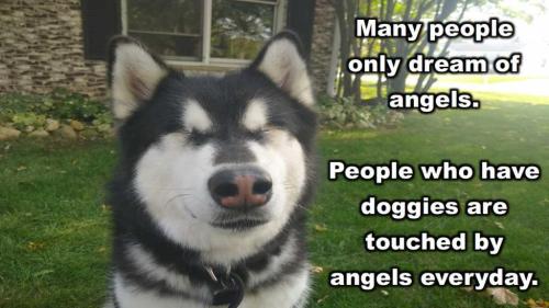 Many people only dream of angels