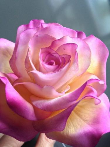 07:23:02 GMT-0600 (CST)