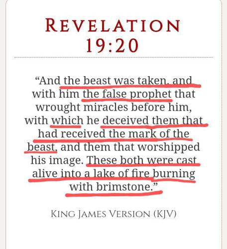 Screenshot_20211117-131039_DuckDuckGo~13