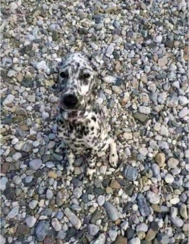 FB_IMG_1636071198786