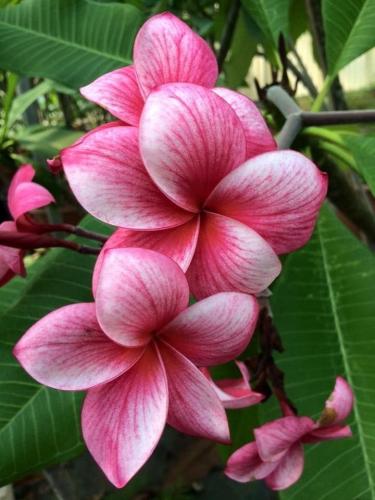 07:42:13 GMT-0600 (CST)