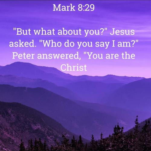 Screenshot_20211120-090259_Bible