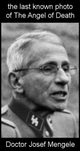 fauci152