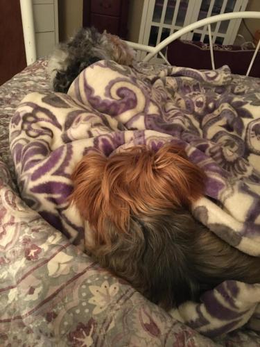 21:05:11 GMT-0700 (MST).image