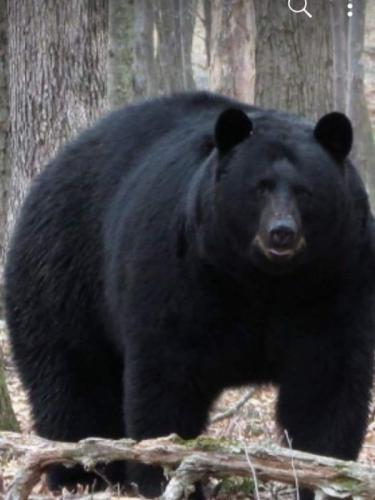 07:26:11 GMT-0500 (CDT)