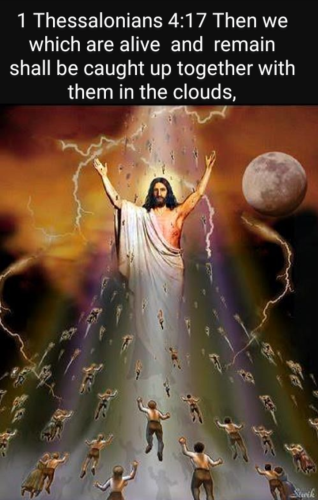 Screenshot_20211114-075652~2