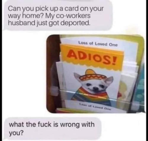 image_1637931218.648