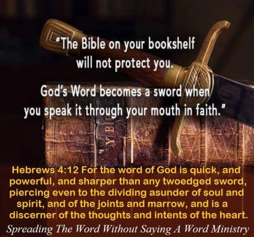 48274845_2091629764252477_8163673686465839104_n