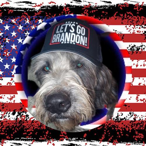 14:42:34 GMT-0800 (PST).image