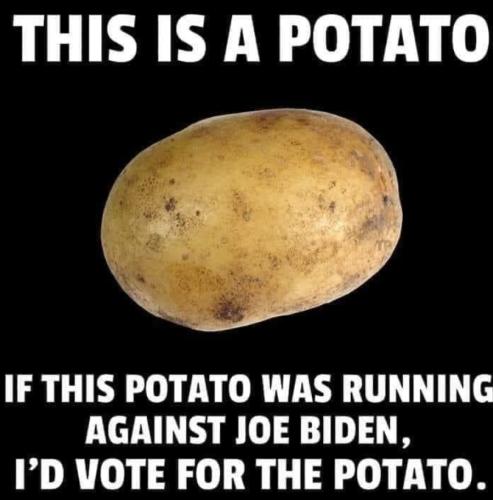 Screenshot_20211125-080047_DuckDuckGo