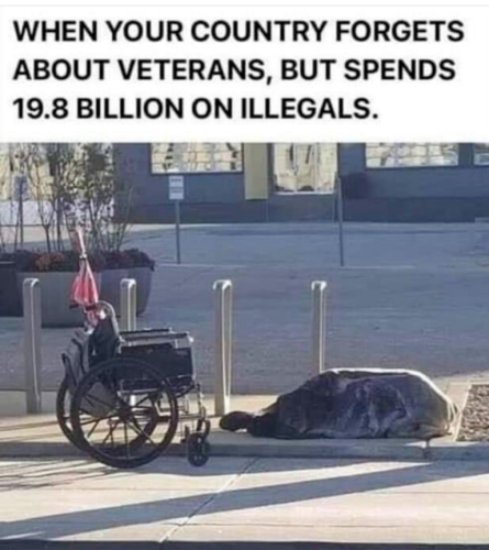 image_1635859734.086