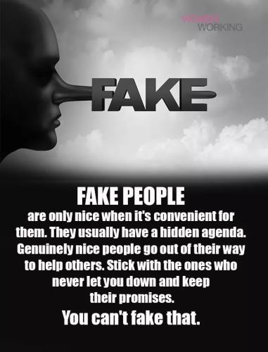 FB_IMG_1607160715135