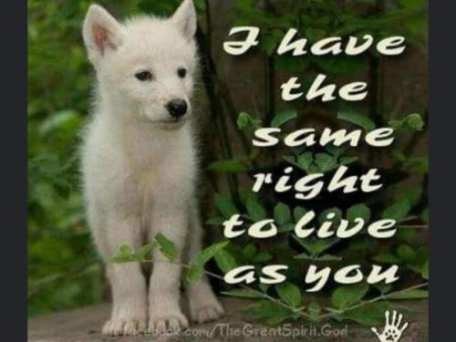 FB_IMG_1635762957781