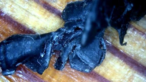 Big Toe Carbon Sheet Wrap (2)