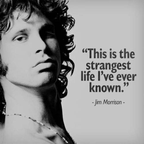 tumblr_d3bfffbca5e5f2a92ead5b5c84e8182e_3b45e497_540