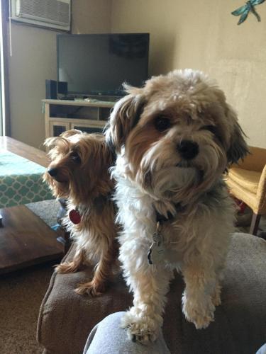 12:36:40 GMT-0700 (MST).image