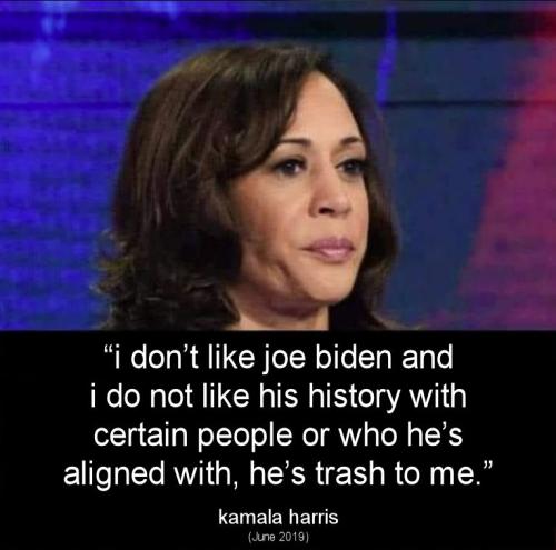 kamala harris160