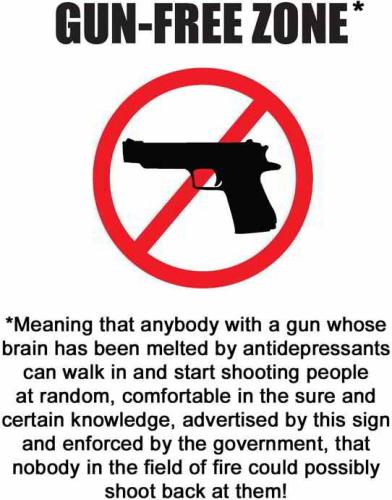 SMALL_GunFreeSign