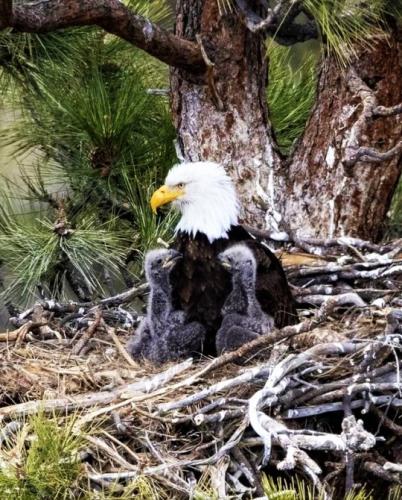 tumblr_3a5ed4637b257f513cd3dfb6098c068c_bb8ab4be_540