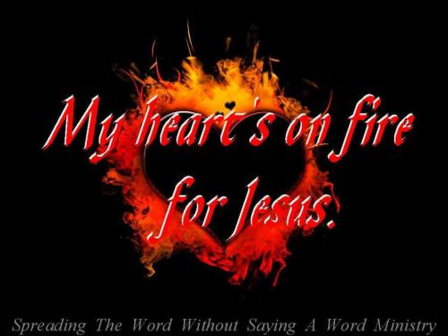 66067_396581080424029_254513328_n