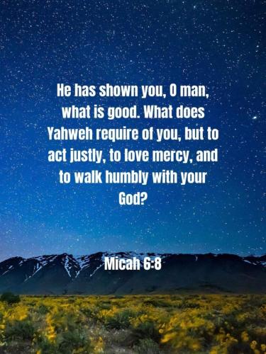 08:23:31 GMT-0500 (EST)