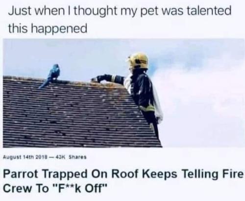 13:31:15 GMT-0500 (EST)