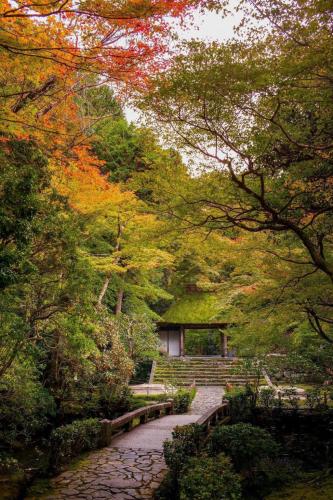 257523310_5057944450901704_945747691125650089_n