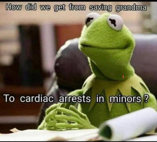 image_1638281986.369