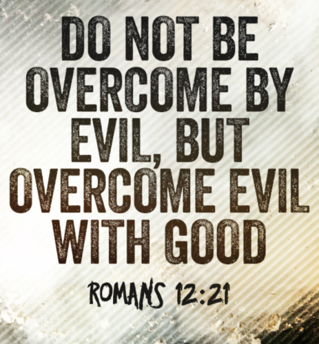 Screenshot_20211109-202735