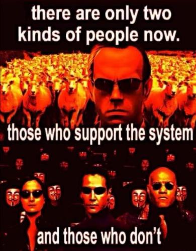 those that support the system