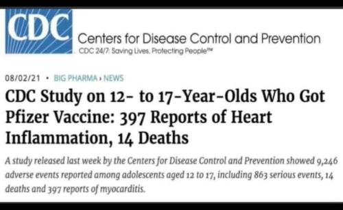 received_251331116705067