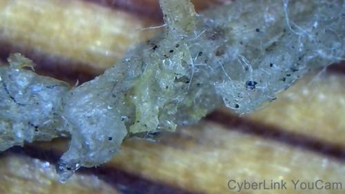 Crazy Nano Rod Node (8)