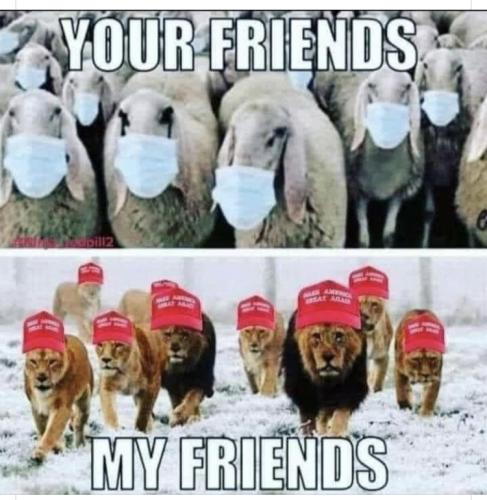 23:56:56 GMT-0500 (EST).image