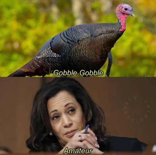 DAFD1F50-AA09-4800-A617-4E8C9B187C95