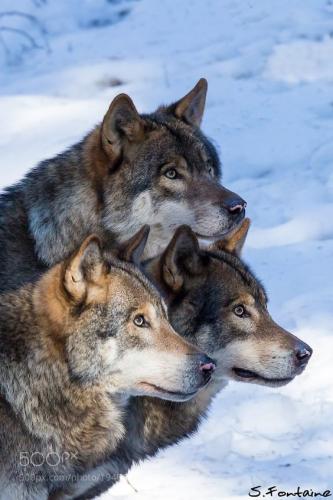 82ad4e568df6e4563d0965cdd20eb507