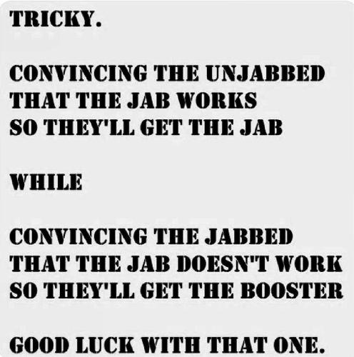 IMG_20211116_172557_156