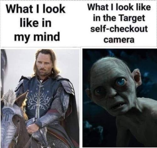 255506645_432145171606790_6547592773290551992_n