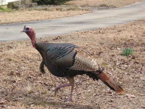 149045168_4057218540978185_5525217513636265359_n