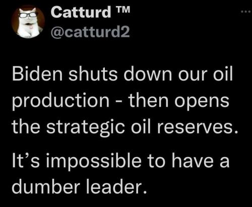 259433617_440879834411470_9158542624739295991_n