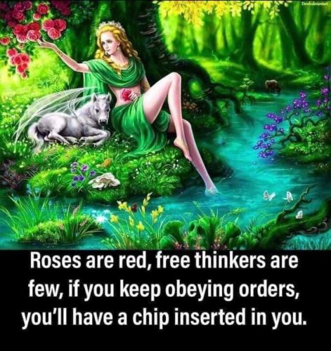 photo_2021-11-29_16-49-15