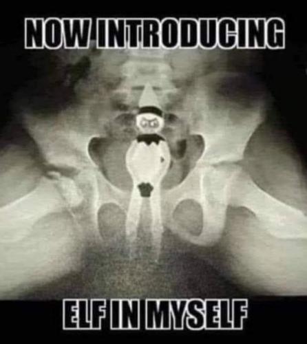 elf on a shelf22