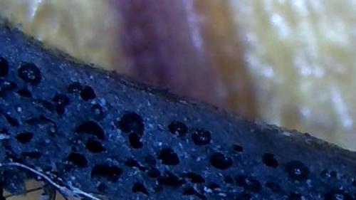 Big Bath Floater Bio Film Scab  (4)