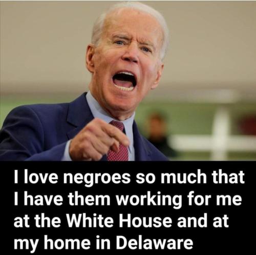 Screenshot_20211114-182934_Wimkin